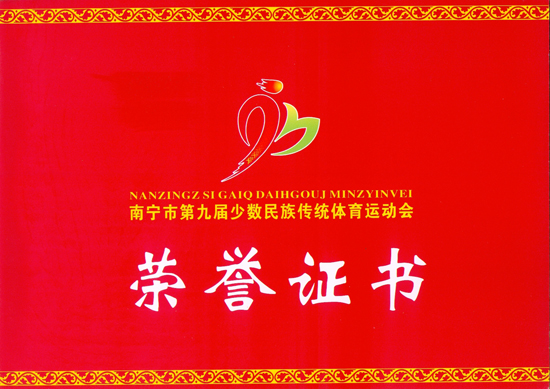 南宁市第九届少数民族传统体育运动会特殊贡献企业奖（封面）